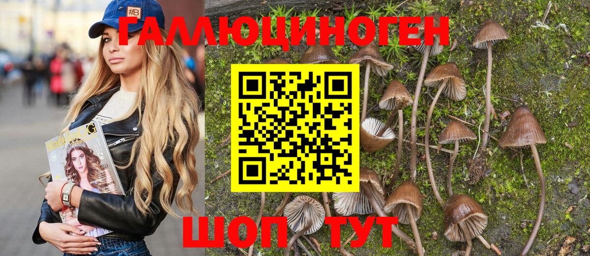 Псилоцибиновые грибы ЛСД  Вход с VPN  Учалы  Псилоцибиновые грибы Cubensis 